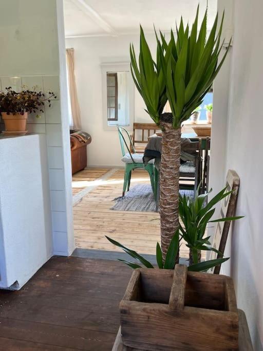 The Old Soap House - Stylish And Close To Beach Vang  エクステリア 写真